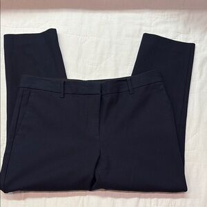 Ann Taylor Navy Blue Tailored Pants Size 10P